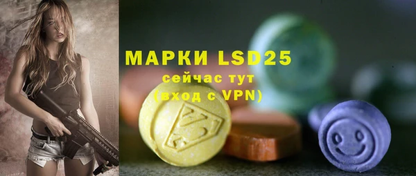 спиды Иннополис