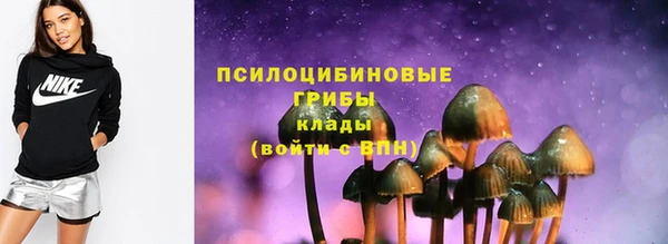 бошки Инта