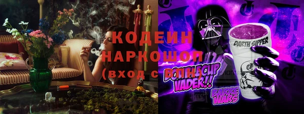 бошки Инта