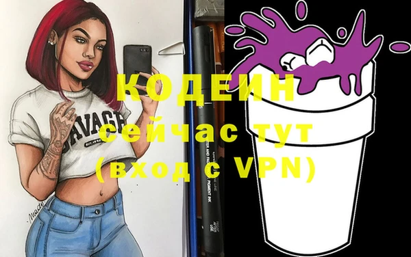 бошки Инта