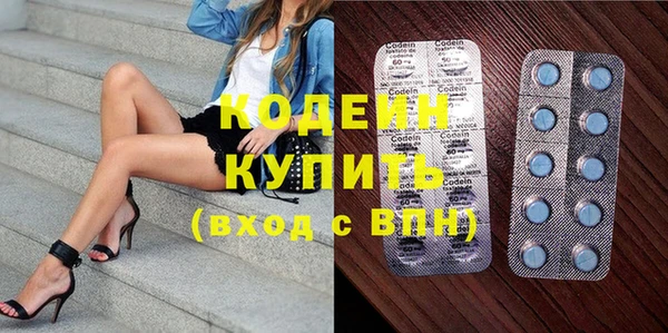 бошки Инта