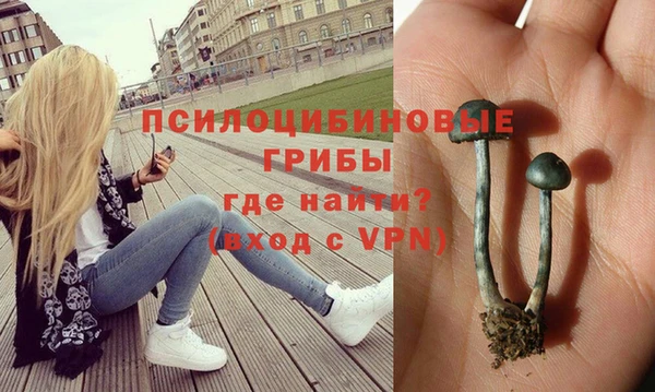 спиды Иннополис