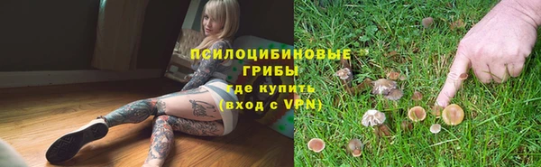 спиды Иннополис