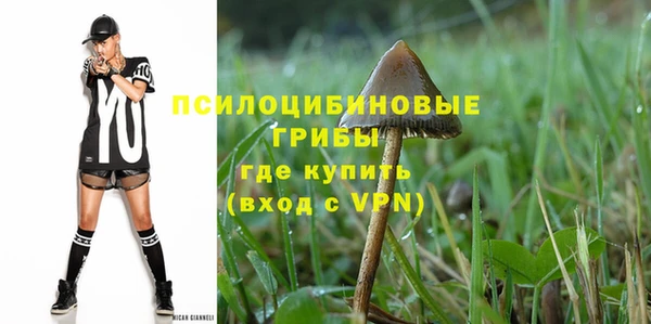 бошки Инта