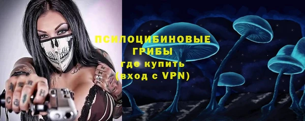 бошки Инта