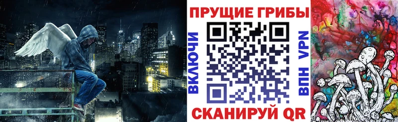 Псилоцибиновые грибы Psilocybe Емва