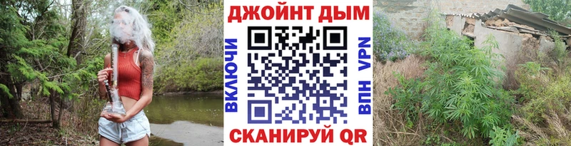 Купить  Емва  Шишки марихуана OG Kush 